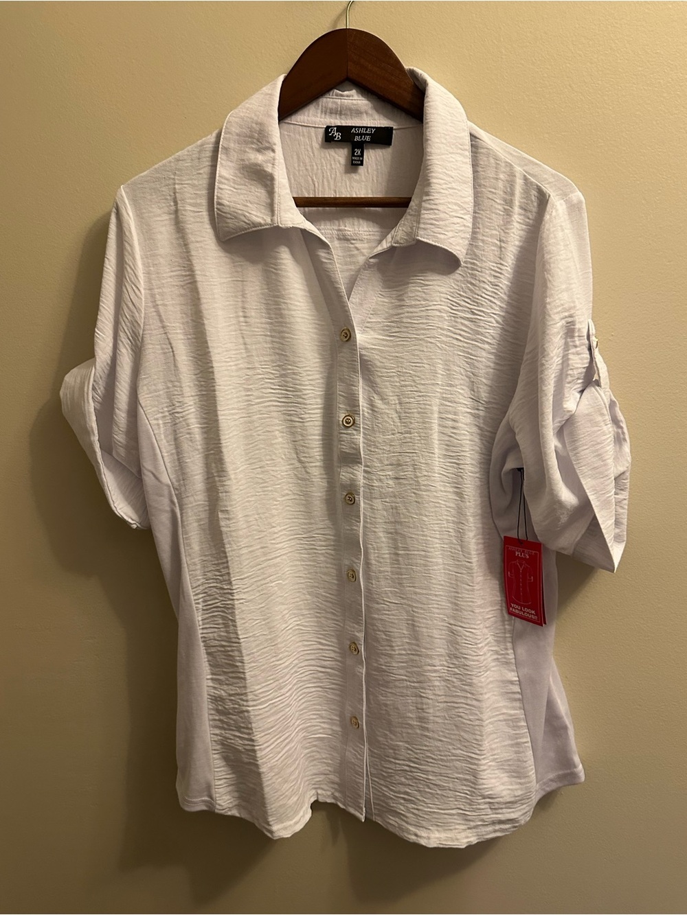 Ashley Blue White Textured Button-Down Short Sleeve Shirt